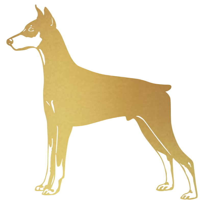 Sticker Dobermann