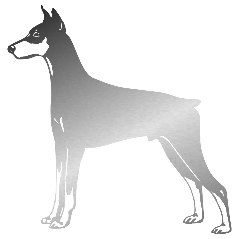 Sticker Dobermann
