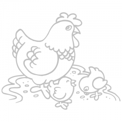 Sticker Poule et ses Poussins