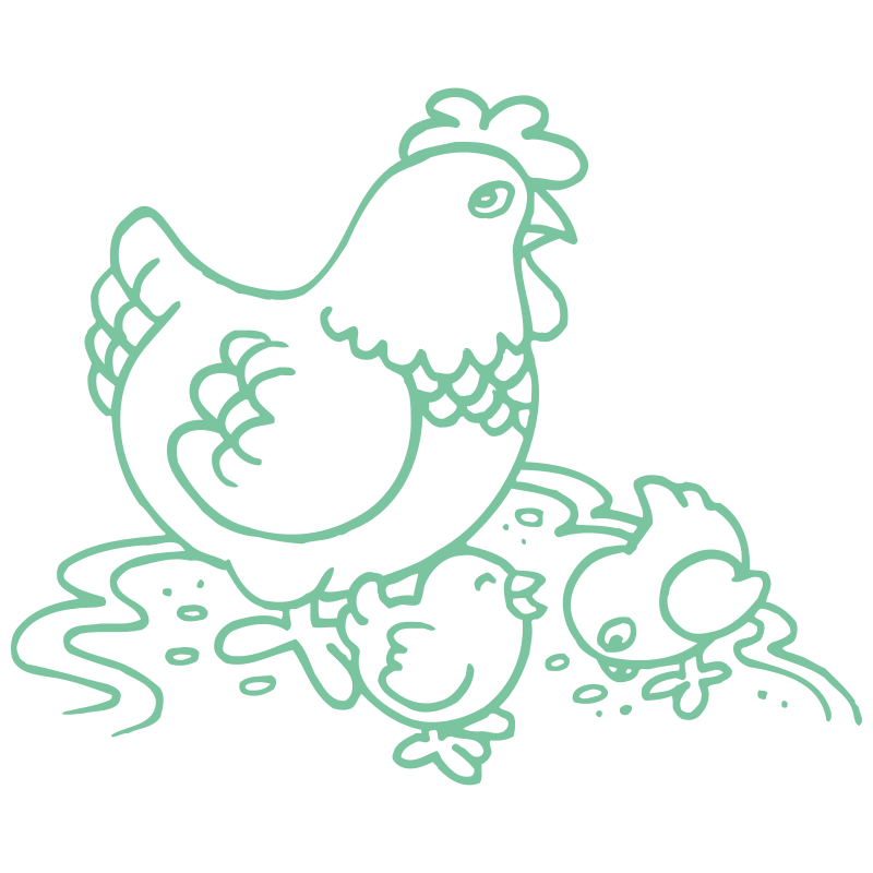 Sticker Poule et ses Poussins
