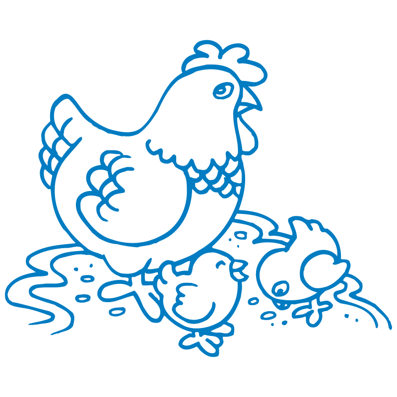 Sticker Poule et ses Poussins