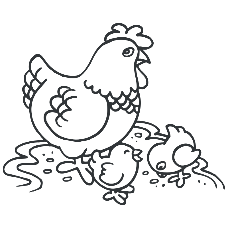Sticker Poule et ses Poussins
