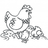 Sticker Poule et ses Poussins