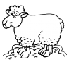 Sticker Mouton