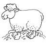 Sticker Mouton
