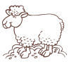 Sticker Mouton