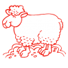 Sticker Mouton