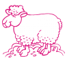 Sticker Mouton