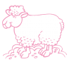 Sticker Mouton