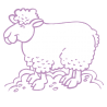 Sticker Mouton
