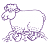 Sticker Mouton