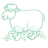 Sticker Mouton