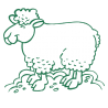 Sticker Mouton