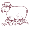 Sticker Mouton