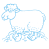 Sticker Mouton