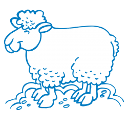 Sticker Mouton