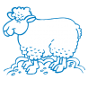 Sticker Mouton