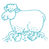 Sticker Mouton