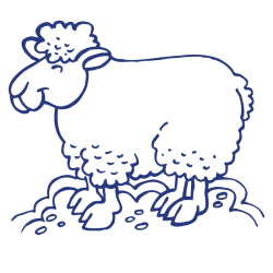 Sticker Mouton