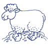 Sticker Mouton