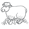 Sticker Mouton