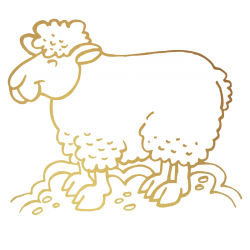 Sticker Mouton