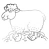 Sticker Mouton