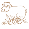 Sticker Mouton