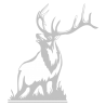 Sticker Cerf qui Brame