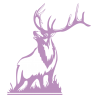 Sticker Cerf qui Brame