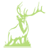 Sticker Cerf qui Brame