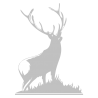 Sticker Silhouette de Cerf N°2