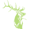 Sticker  Cerf