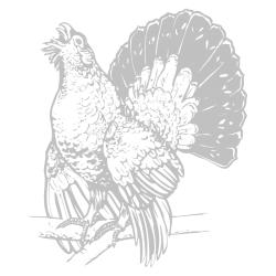 Sticker Tétras