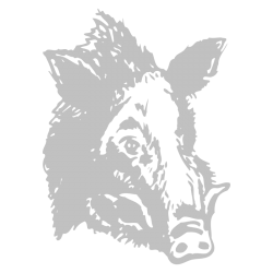 Sticker Tête de Sanglier N°2