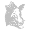 Sticker Tête de Sanglier N°2