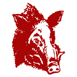Sticker Tête de Sanglier N°2