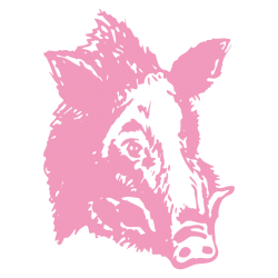 Sticker Tête de Sanglier N°2