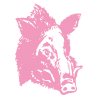 Sticker Tête de Sanglier N°2