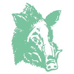 Sticker Tête de Sanglier N°2
