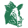 Sticker Tête de Sanglier N°2