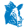 Sticker Tête de Sanglier N°2