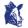 Sticker Tête de Sanglier N°2