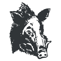 Sticker Tête de Sanglier N°2