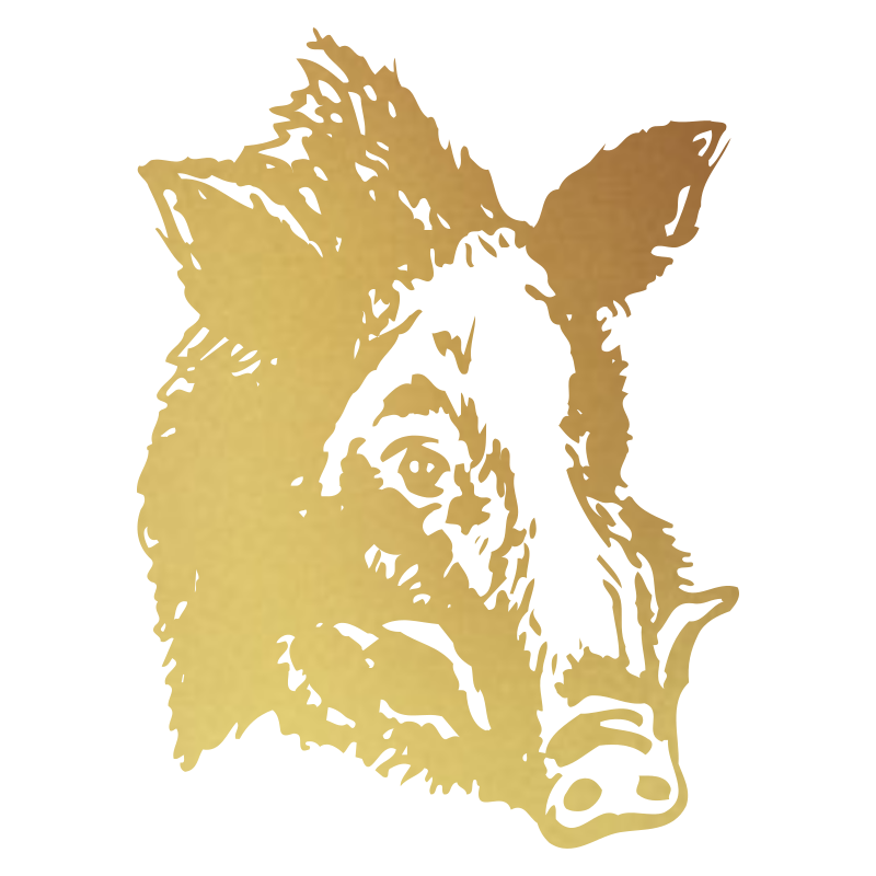 Sticker Tête de Sanglier N°2