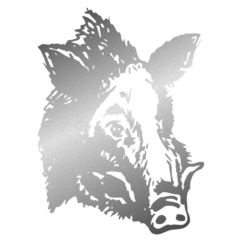 Sticker Tête de Sanglier N°2