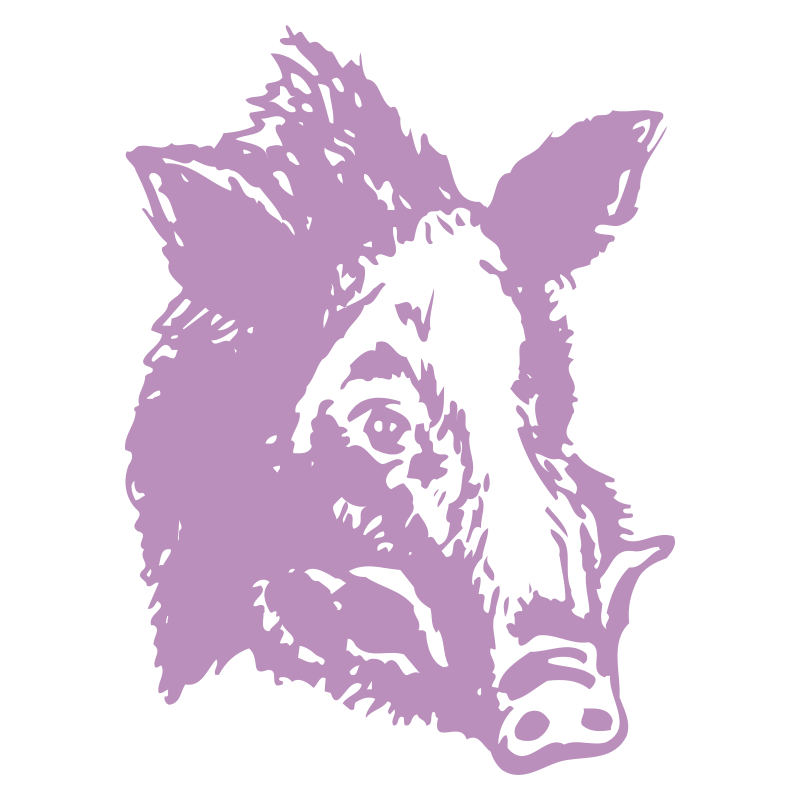 Sticker Tête de Sanglier N°2