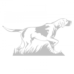 Sticker Chien de Chasse à l'arrêt N°2