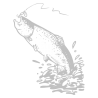 Sticker Pêche à la Truite