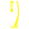 Sticker toise girafe